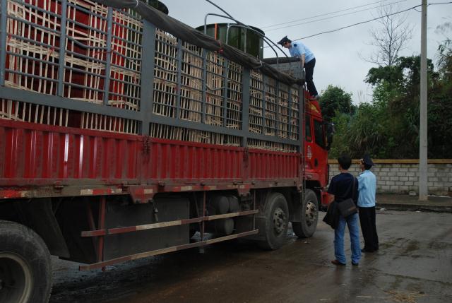 Lạng Sơn: Phát hiện, xử lý 1.677 vụ vi phạm