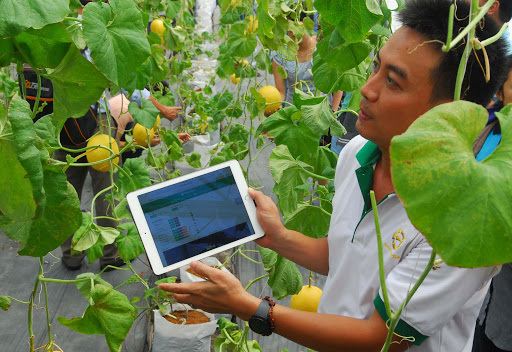 Ngành nông nghiệp ngày càng khẳng định vị thế quan trọng bằng việc ứng dụng khoa học công nghệ, nỗ lực đổi mới sáng tạo nhằm nâng cao vị thế trên trường quốc tế.