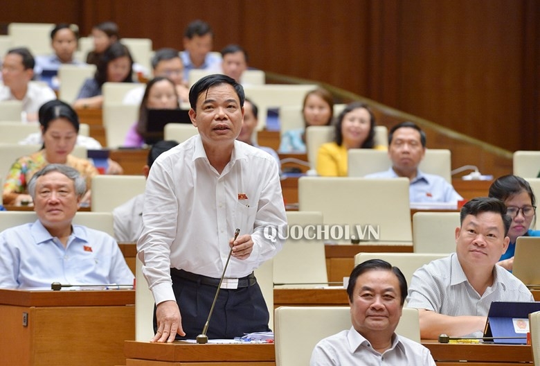 Bộ trưởng Nguyễn Xuân Cường nói về giải pháp cân đối cung-cầu thịt lợn tại buổi thảo luận chiều nay 13/6