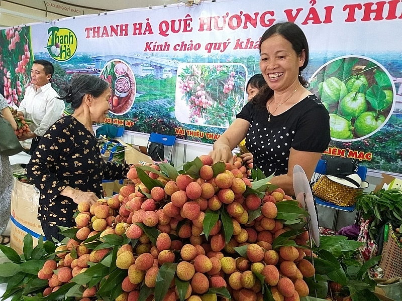 Lào Cai là địa bàn xuất khẩu vài thiều quan trọng trong những năm gần đây