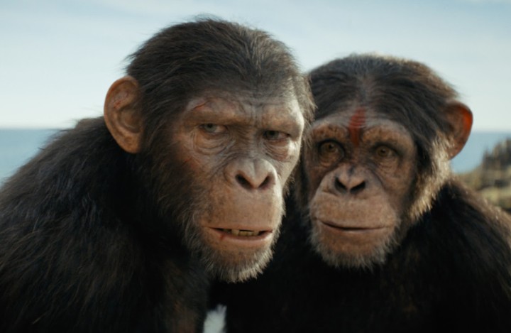 "Hành tinh khỉ" - thương hiệu điện ảnh 50 tuổi chưa biết đến "mùi thất bại"