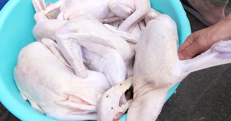 Vệ sinh An toàn thực phẩm - Cần sự chung tay của cả cộng đồng
