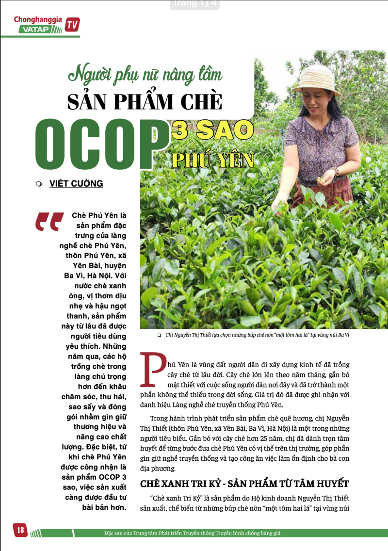 Người phụ nữ nâng tầm sản phẩm chè OCOP 3 sao Phú Yên