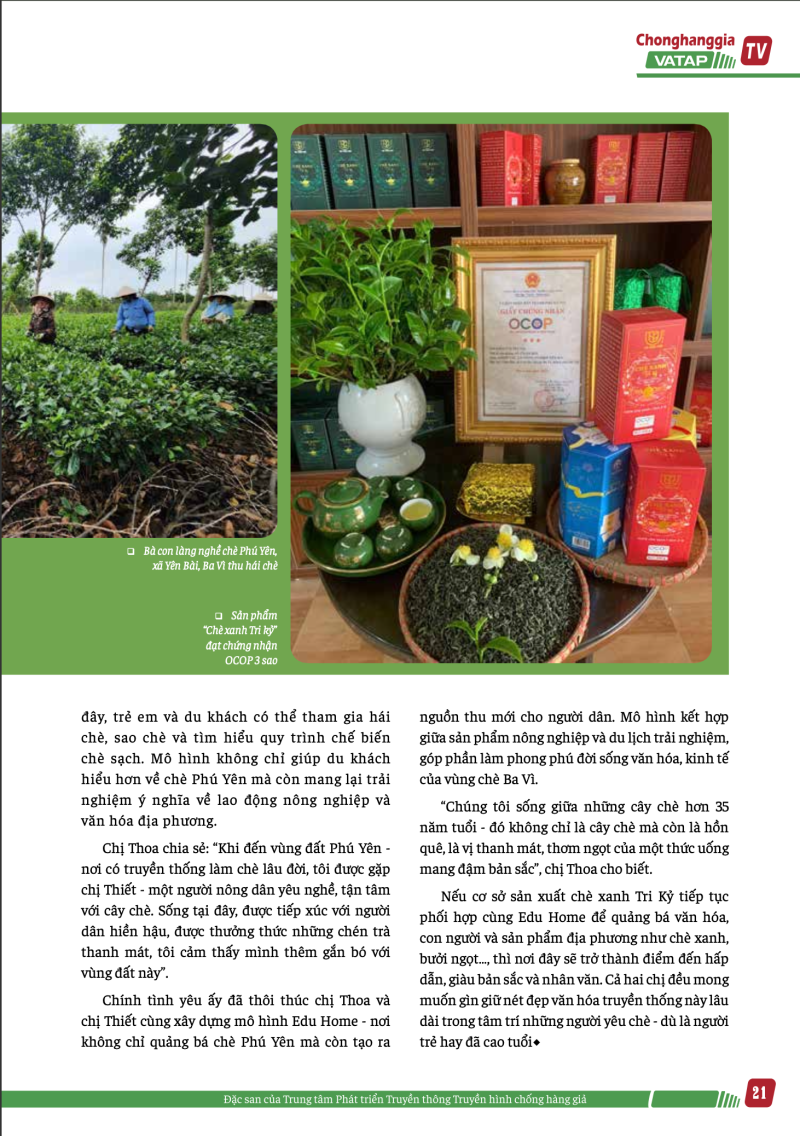 Sản phẩm “Chè xanh Tri kỷ” đạt chứng nhận OCOP 3 sao