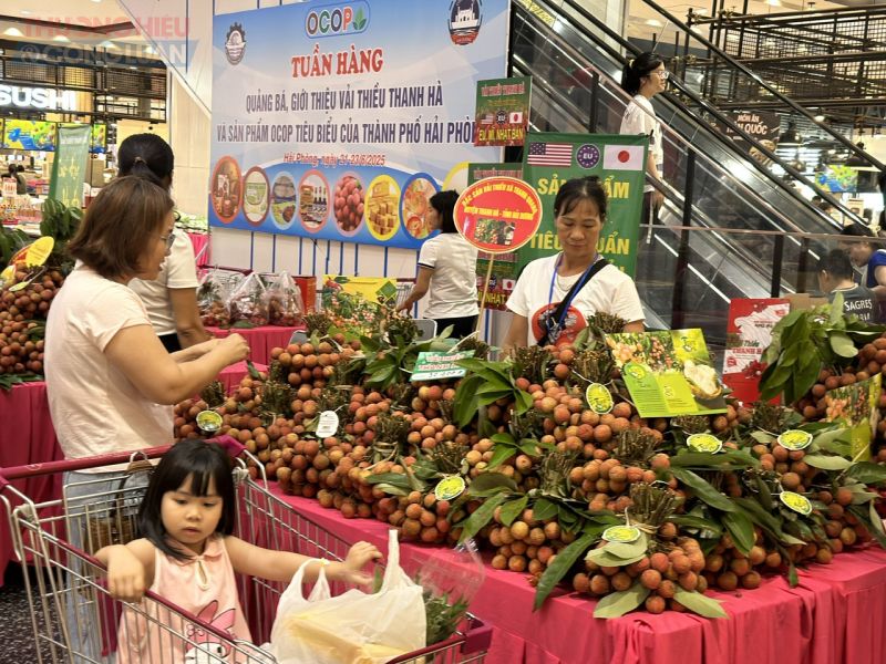 Những con số biết nói trong công tác chống buôn lậu, gian lận thương mại và hàng giả tại Hải Phòng