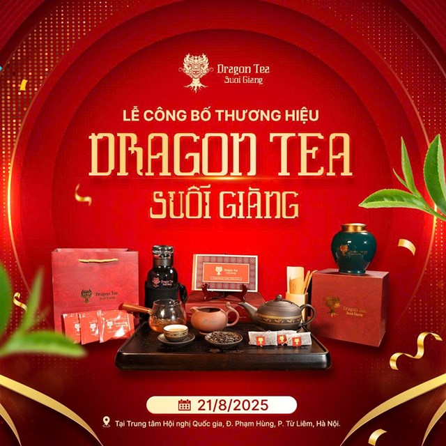 Dragon Tea Suối Giàng: Hành trình đưa trà Shan Tuyết vươn tầm thế giới