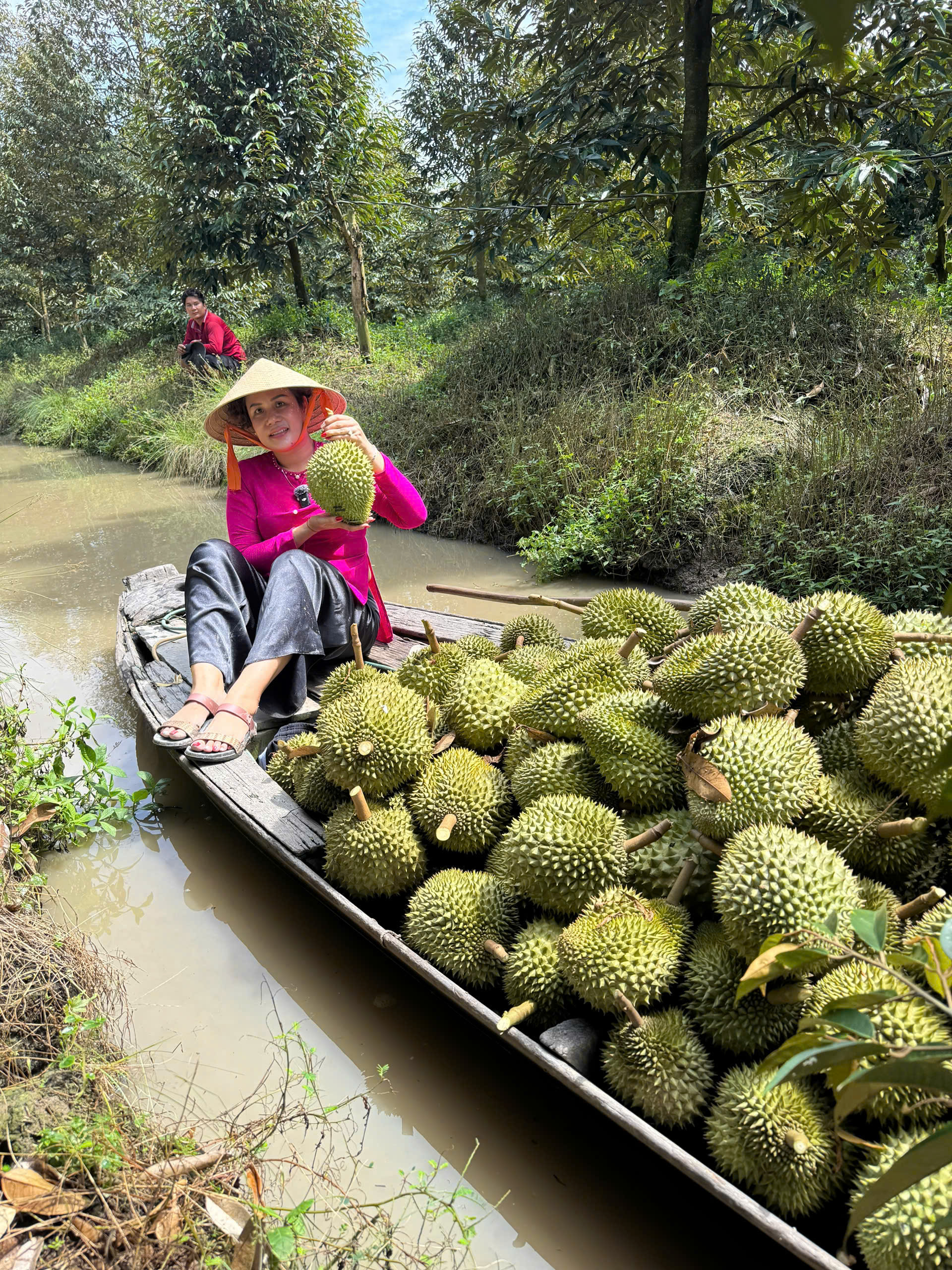 Kh&ocirc;ng &iacute;t nh&agrave; vườn từng rơi v&agrave;o cảnh bị &eacute;p gi&aacute;, b&aacute;n th&aacute;o n&ocirc;ng sản hoặc gặp kh&oacute; khăn trong việc t&igrave;m đầu ra chỉ v&igrave; thiếu th&ocirc;ng tin thị trường.